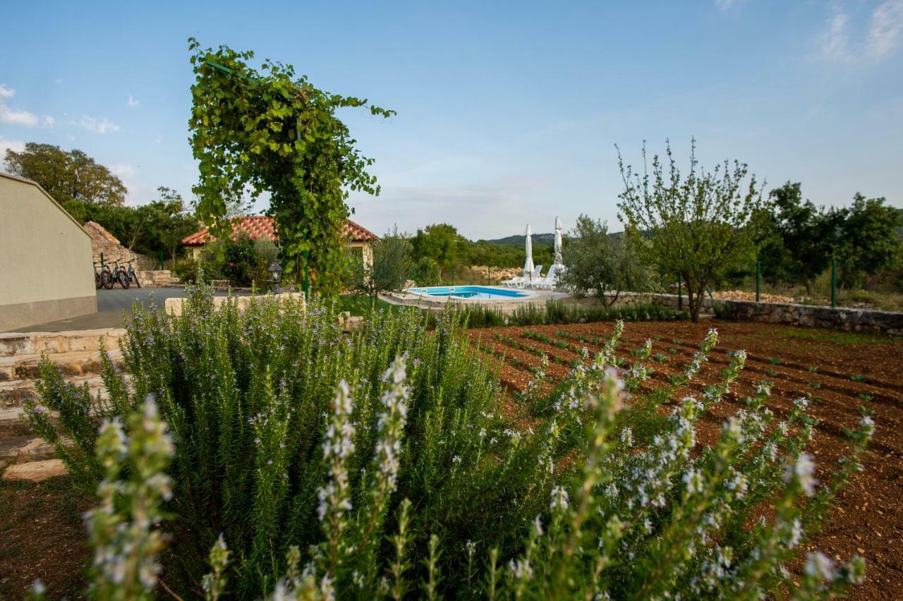 Villa Ane, Divine Holiday Trbounje Zewnętrze zdjęcie